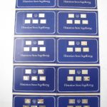 653 6070 Silverminiatyrer